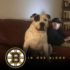 Meet your Posher, Daniella